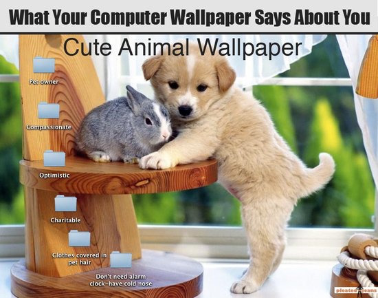 wallpaper cute animal. wallpaper cute animal.